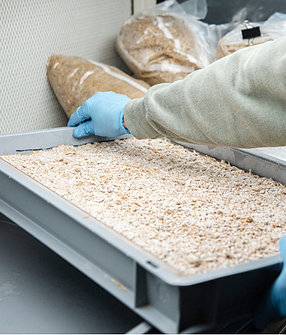 CLB SCHWEIZ GMBH4.png