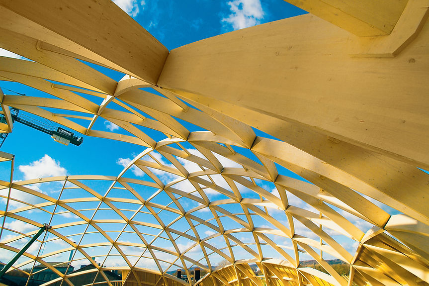 Kopie von LIGNUM_INnoAgenda.jpg