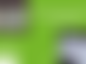 JOURNÉE INTERNATIONALE DE LA FORÊT - Sous le signe de l'innovation!