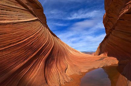 Desert Dune