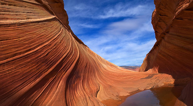 Desert Dune