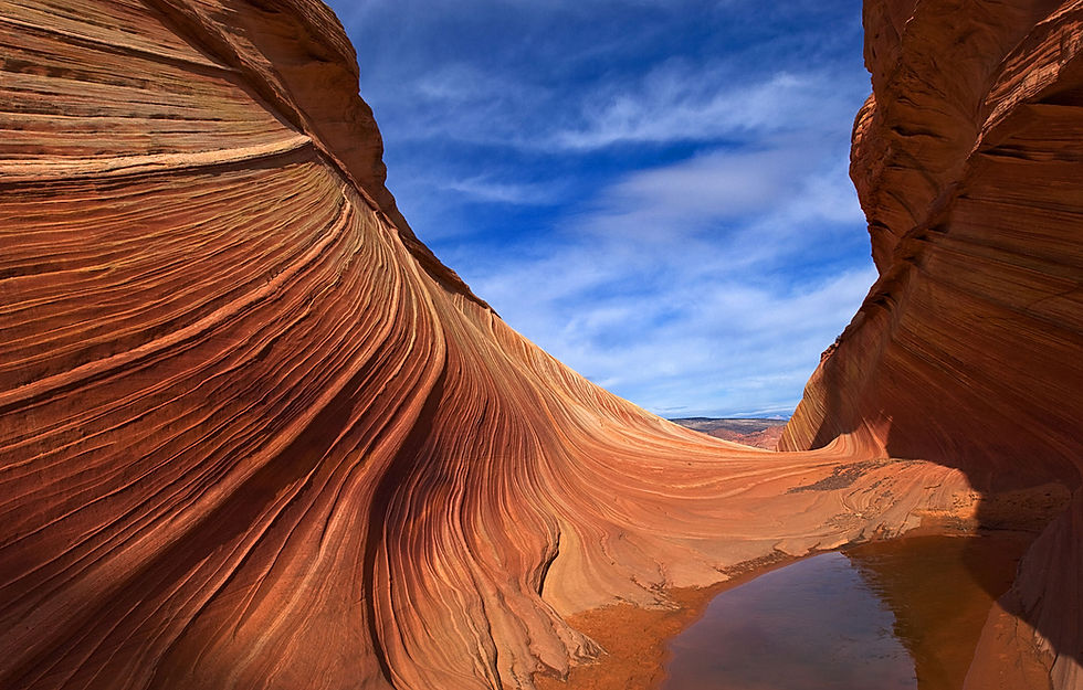 Desert Dune
