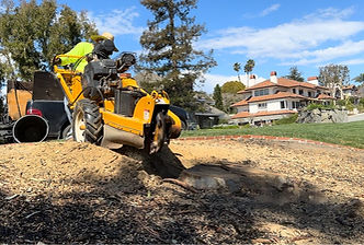 Stump Grinding. Newburry Park, Escalante Tree Service