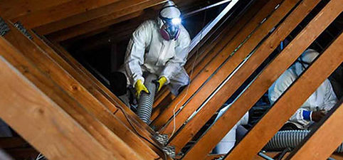 attic cleaning service