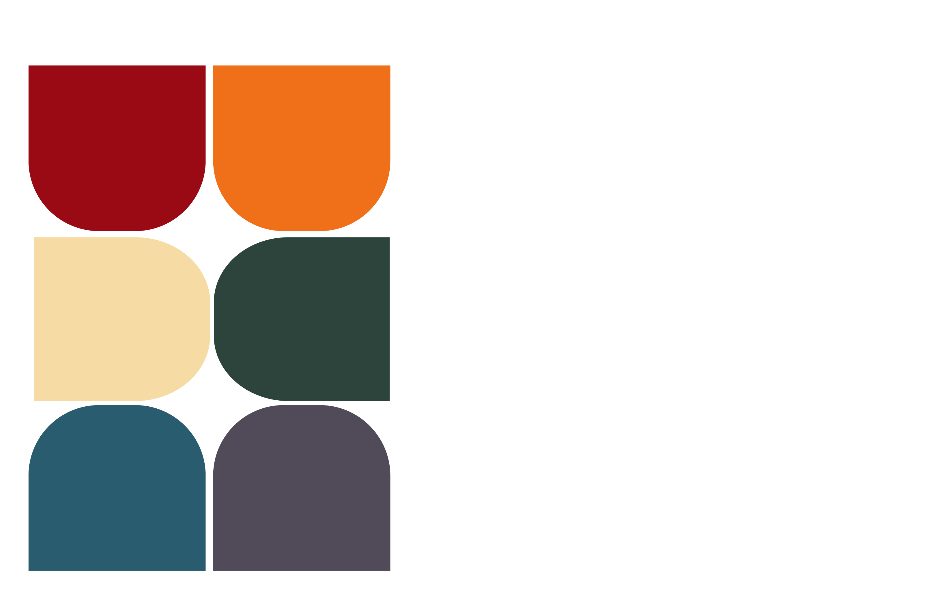 my color vibe logo_white-01.png