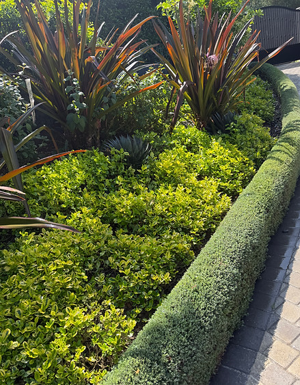 Best Landscape Service Pacific Palisades CA