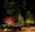Replacement Photo of Tree.PNG