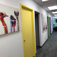 Bright hallway with playful pediatric artwork at Elite Pediatrics in Elmwood Park NJ.