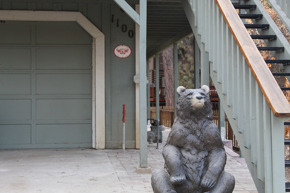 Welcoming Bear to Lodge