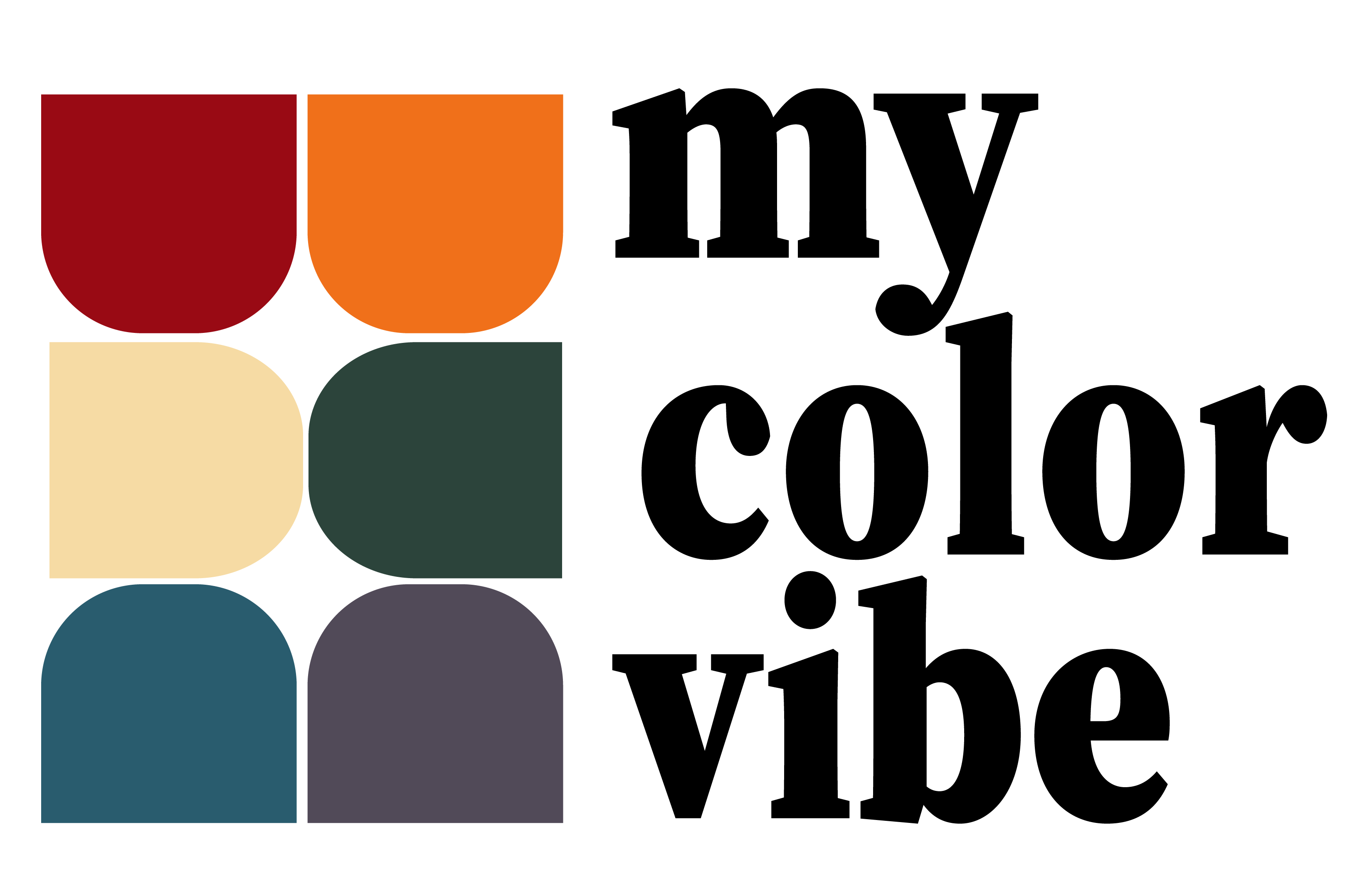 my color vibe logo_black-01.png
