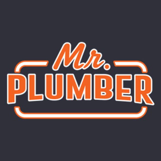 Mr. Plumber