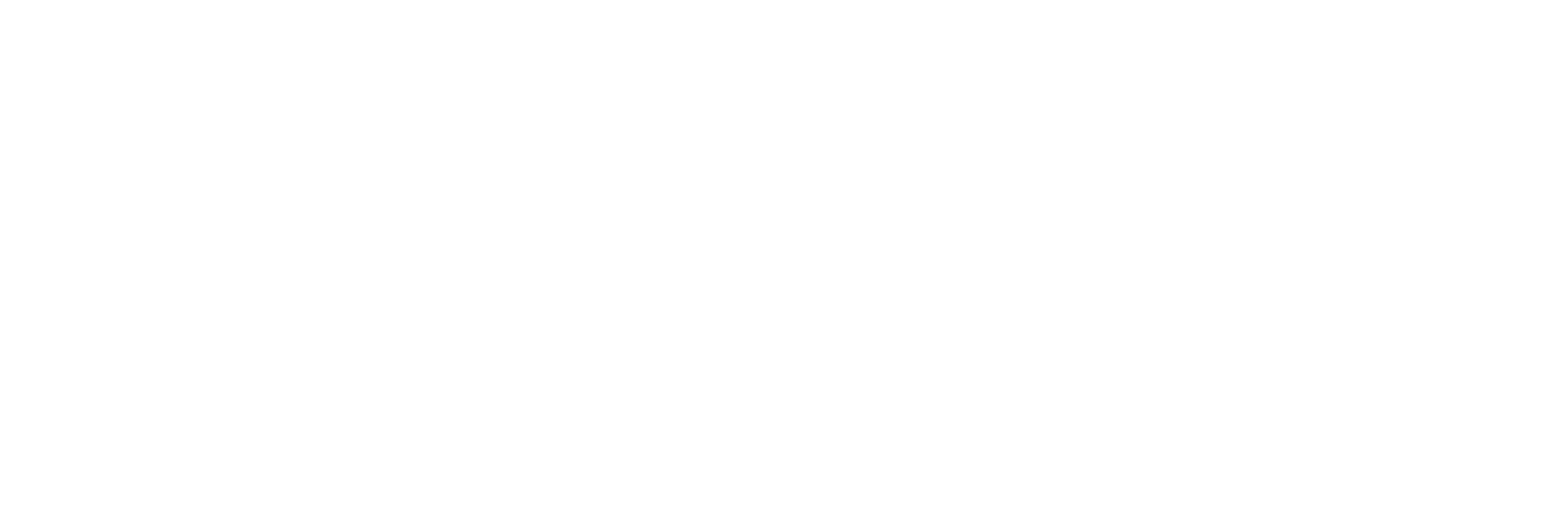 Latitude DST Group