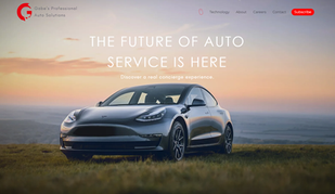 Gabe's Professional Auto Services