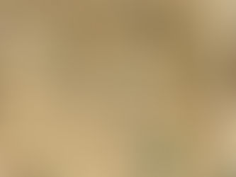 Writer's Inspiration in Daily Life