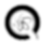 BIU-logo.png