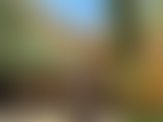 🌄✨ Good morning from St. Catherine’s Monastery, Sinai ✨🌄