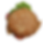 Chicken Breast