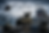 7f491fb5-8515-4617-a6dd-c00f66ce3252.png