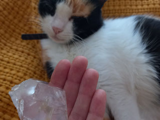 Habló el cristal de cuarzo (y la gata)... O la vida a través de ellos ;)