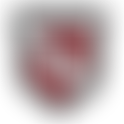 A Strong Showing in Winston-Salem