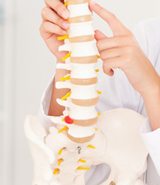 Oakleaf Wellness Centre Musculoskeletal Therapy