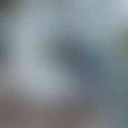 static caravan french doors