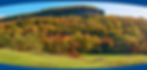 Fall foliage in Milton, Ontario