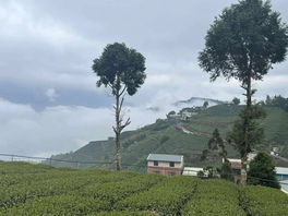 Taiwan’s Global Biodiversity Carbon Program