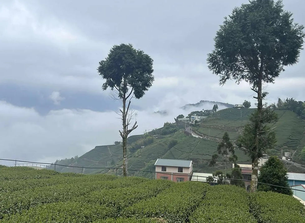 This milestone marks the world’s first non-profit organization (NPO) gaining international recognition to certify biodiversity-based carbon credits while promoting rural revitalization.