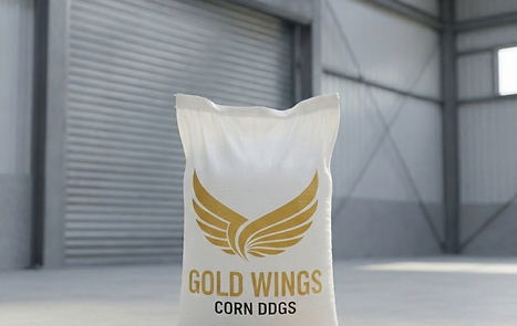 Gold Wings DDGS.png