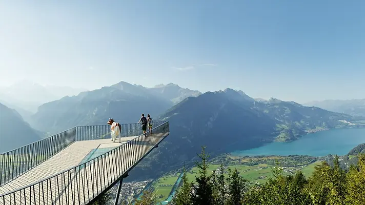 large_Harder_Kulm_Aussicht_Jungfrau_2474c23b27.webp