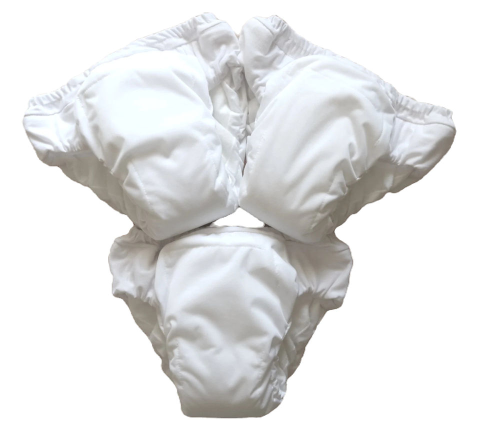 3 White cloth pull ups for daytime use