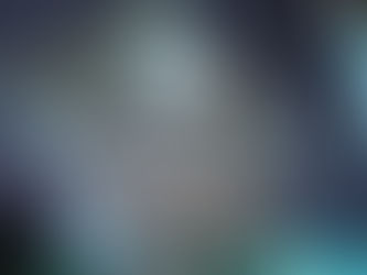 VOLUNTARY ORGANISATION OF THE YEAR 2012 GOES TO CLAN MACQUARRIE

