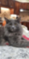 thumbnail.jpg