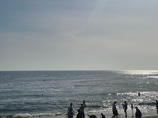 IMG_9464.jpeg