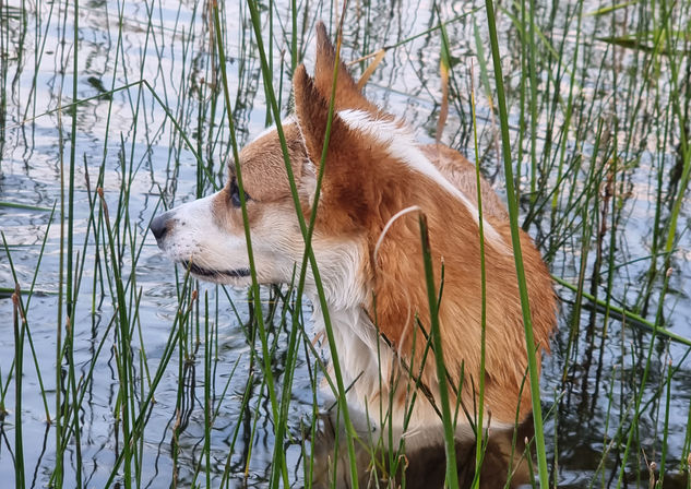 2022-07-21 20.53.32.jpg