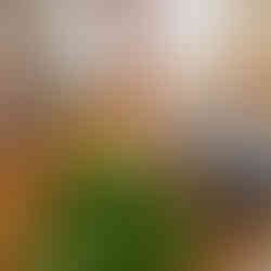 Woman at a cutting board slicing lemons