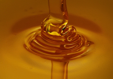honeygiphy.gif