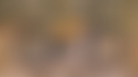 The Trek Rail 9 E-MTB has been refined for 2021 with several key updates