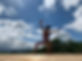 IMG_2977.jpeg