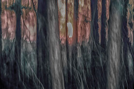 Reframed Photography