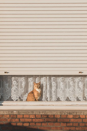 Reframed Photography