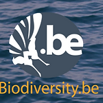 Belgian logo.png