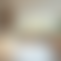 Achieving CMHC Points in Canada A Guide to Accessible Kitchen Design and Energy Saving Products