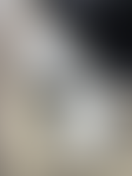 ヘッドライトスチーマーコート