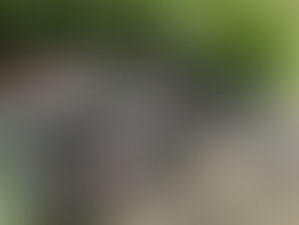 Coca-Cola FEMSA Nicaragua obtieene certificación "Alliance for Water Stewardship' (AWS)"