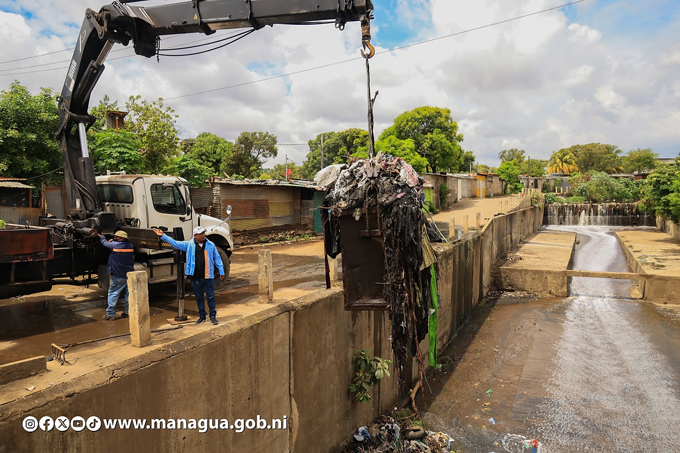 Cada año la alcaldía de Managua recoge toneladas de basura de los diferentes cauce. 