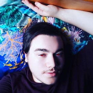 Semidiepie.jpeg