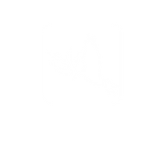 web用イラスト5_アートボード 1.png