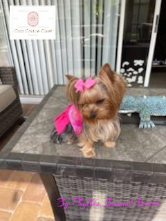 Thumbnail: Inspired LV pink and gold dress 👗 